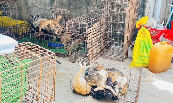 549667240_1180893920762575_2236147898760133196_n